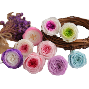 ดอกกุหลาบออสตินดอกกุหลาบนิรันดร์ที่เก็บรักษาไว้นานดอกไม้สำหรับวันวาเลนไทน์และวันแม่จากเดวิดออสตินโรสบูติก - Product Image 1