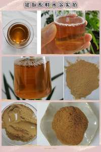 レインボーサプライ レオヌルス アルテミシア エキス パウダー - Product Image 4