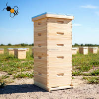 Fournisseur d'usine Ruche Langstroth 5 couches 10 cadres en bois de sapin naturel pour l'apiculture à vendre