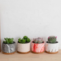 Pots de plantes à motifs de marbre nordique, jardinière succulente, Pot de fleurs en céramique, vente en gros