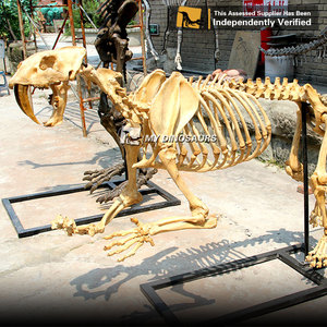 My Dino D11 protège des dents de l'univers de la vie, écailles d'animaux, tigre - Product Image 2