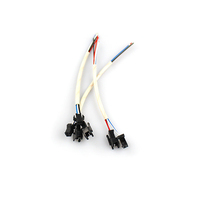 Kabel Rakitan Tembaga PVC JST SM 2.5mm 2 4 Pin Male Female untuk Perangkat Mini yang Dapat Dipakai, PCB Baterai, Bersertifikasi ISO9001