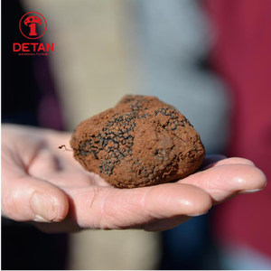 Venta caliente de trufa china de exportación de trufa Tuber Indicum precio al por mayor - Product Image 5