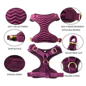 Nouveau design 2026 : Ensemble de <span class=keywords><strong>harnais</strong></span> <span class=keywords><strong>pour</strong></span> animaux de compagnie en velours brodé, réglable, confortable, avec <span class=keywords><strong>collier</strong></span> et laisse, personnalisable <span class=keywords><strong>pour</strong></span> fournisseurs - Product Image 4