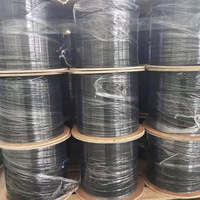 Câble de raccordement à fibres optiques monomode Simplex SC FC LC 0,9 mm 2,0 mm 3,0 mm pour FTTH, avec connecteurs pigtail