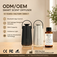 Diffuseur d'huiles essentielles intelligent rechargeable, nouveau design, directement de l'usine, pour la maison, le bureau et la voiture