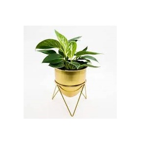 Gold Plated Pot Metal Planter With Stand for <b>Farm</b> Balcony Garden Indoor Outdoor Decoration - Product Image 1