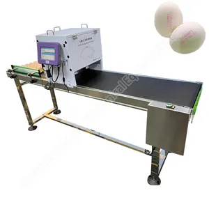 Eggs expiry date printing chicken machine with edible ink laser egg coding printer