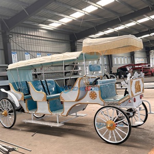 Nouvelle voiture blanche avec sièges bleu clair, calèche électrique de tourisme, calèche de mariage à vendre, calèche de tourisme - Product Image 4