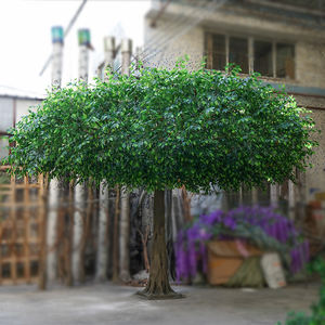 <span class=keywords><strong>Plantes</strong></span> de banian de jardinage populaires, arbres artificiels ficus <span class=keywords><strong>d</strong></span>'<span class=keywords><strong>intérieur</strong></span> <span class=keywords><strong>pour</strong></span> la <span class=keywords><strong>d</strong></span>écoration de magasins de meubles <span class=keywords><strong>d</strong></span>'<span class=keywords><strong>intérieur</strong></span> - Product Image 4