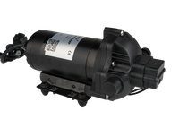Newmao 33 série ac à membrane électrique haute pression pompe à eau douce 11.3lpm 45psi 110V 115V 220V 230V