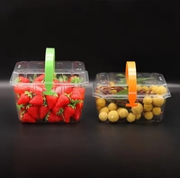 Boîte en plastique transparente de récipient d'emballage alimentaire de boursouflure d'animal familier écologique fait sur commande raisin fraise fruit