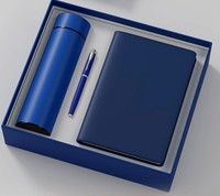 Ensemble Cadeau Promotionnel Exquis pour Entreprises : Carnets, Stylos, Tasses, Parapluies avec Impression UV