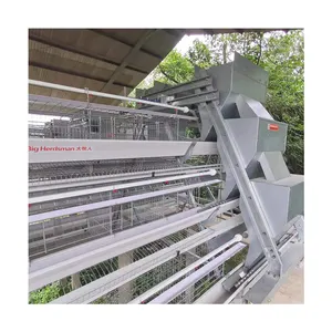 Good Price A Type Egg Layer Chicken Farming Automatic Poultry Breeding Equipment for sale in Congo