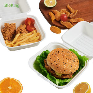 Bioking กล่องชานอ้อยแบบฝาพับแบบใช้แล้วทิ้ง9*9นิ้วภาชนะใส่อาหารกล่องอาหารกลางวันเป็นมิตรกับสิ่งแวดล้อม - Product Image 2