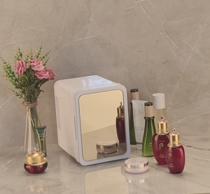 4L Nhân Đôi Cửa Với Đèn LED 12V Và 110V Hai Điện Make Up Sử Dụng <span class=keywords><strong>Mini</strong></span> Mỹ Phẩm Tủ Lạnh - Product Image 3