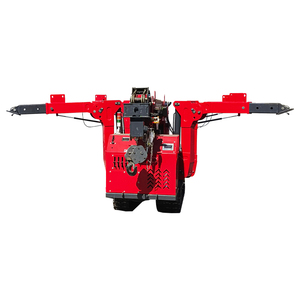 <span class=keywords><strong>Gru</strong></span> a ragno semovente per spazi ristretti con telecomando per sollevamento vetri - Product Image 6
