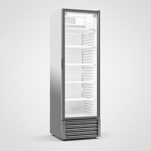 Refrigerador Comercial Vertical de 448 L con Una Puerta de Vidrio y Enfriamiento por Aire para Exhibición de Bebidas - Product Image 2