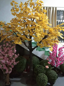 Paisajismo y jardinería y decoración del hogar u oficina del hotel Árbol de <span class=keywords><strong>ginkgo</strong></span> 3m - Product Image 3