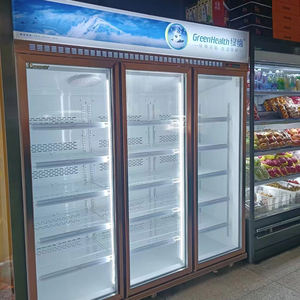 <span class=keywords><strong>ตู้</strong></span>แช่แข็งแบบตั้งกระจกสำหรับใช้ในธุรกิจสั่งสำหรับร้านค้าปลีก - Product Image 5
