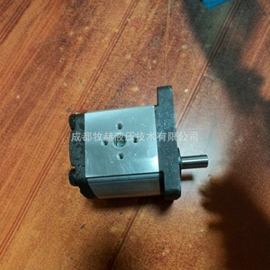 ปั๊มเกียร์ Ronzi รุ่น 02ZAG11E032D 32 ลิตร/นาที 250 บาร์ ผลิตจากเหล็กหล่อ ผลิตในอิตาลี - Product Image 4