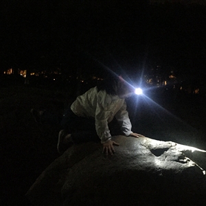 Khuyến mãi trẻ em sư tử động vật cắm trại đèn lồng Đèn Pha <span class=keywords><strong>Led</strong></span> đồ chơi với AAA pin IP54 không thấm nước 1-năm Bảo hành chất lượng tốt nhất Quà Tặng - Product Image 5