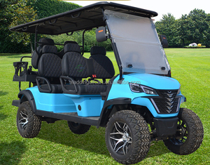 Contrôleur de voiturette de <span class=keywords><strong>golf</strong></span> électrique 3-4 places Island 48V, pièces de batterie au lithium, kits de carrosserie pour buggy de <span class=keywords><strong>golf</strong></span> et dune buggy - Product Image 2