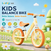 Vélo d'équilibre pour enfants Luddy Wholesale OEM B.Duck en alliage de magnésium, léger, sans pédales, vélo d'apprentissage pour tout-petits, pneus EVA, âges 2-6 ans