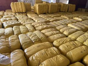 Pañales Desechables para Bebés, Grado B, en Fardos de 50 Unidades por Bolsa, Tendencia 2025, Rechazados por Fábrica, Lindos y Prácticos - Product Image 2