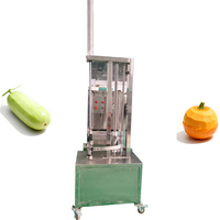 Éplucheur de citrouille de qualité industrielle-Machine à éplucher le melon d'hiver automatique avec un design économique