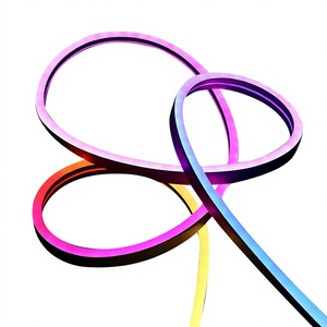 Néon LED RVB rechargeable à intensité variable, étanche IP65, en silicone double couche - Product Image 1