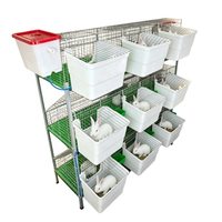 Ensemble de cages d'élevage de lapins galvanisées à chaud, conçues pour l'élevage en haute densité et la gestion facile des déjections dans les fermes avicoles