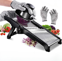 Trancheuse à oignon et pommes de terre manuelle Raybin, trancheuse à légumes, coupe-légumes, mandoline en acier inoxydable réglable pour la cuisine