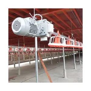 Automatic Full Set Poultry Control Shed Equipment and Drinking Facilities System