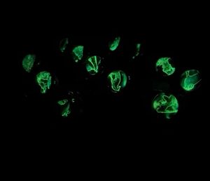 <span class=keywords><strong>Zodiac</strong></span> 12 Virgo porte-clés en verre porte-clés lunettes <span class=keywords><strong>Zodiac</strong></span> 12 Constellation Glow In The Dark Creative Galaxy porte-clés - Product Image 6