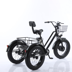 Vente en gros de tricycles électriques pour adultes, cadre en aluminium de 20 pouces, double frein à disque, vélo cargo à trois roues pour personnes âgées - Product Image 1
