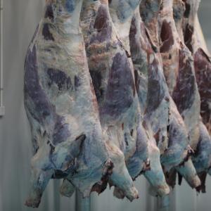 Ligne d'abattage automatique du bétail, usine de transformation du bœuf, équipement d'abattoir halal avec acier de haute qualité - Product Image 2