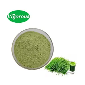 Instant Pure Natural Organic Green Barley Grass Juice Powder In Bulk