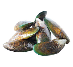 Polvo de Mejillón de Labio Verde de <span class=keywords><strong>Nueva</strong></span> <span class=keywords><strong>Zelanda</strong></span> de Grado Alimenticio, Extracto de Mejillón de Labio Verde en Polvo - Product Image 3