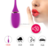 SacKnove Hot Selling Medical Silikon Vagina Vibrierender Schwanz Ei Sexspielzeug Frauen Fern gesteuerter Vibrator Vibrierendes Höschen