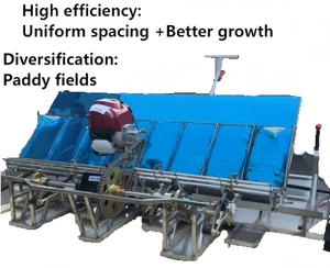 High-Efficiency Gasoline Powered <strong>Rice</strong> <strong>Transplanter</strong> Automatic Seeder Adjustable Features for Paddy Fields Motor Gearbox Core - Product Image 2