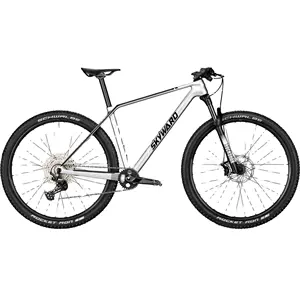 OEM-Fahrradlieferant 29 Zoll MTB 12-Gang-Karbonrahmen-Mountainbike mit Scheibenbremse