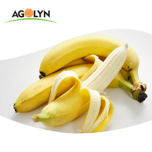 Plátano <span class=keywords><strong>Liofilizado</strong></span> AGOLYN Good Taste FD - Product Image 6