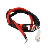 Cable de Alimentación Principal JFG Compatible con Motocicleta Eléctrica Surron Light Bee X S, 50x50x200mm