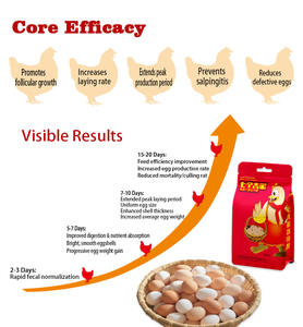 Aditivos para Alimento de Gallinas Ponedoras de Alta Calidad y Bajo Precio, Aditivos para Alimento de Gallinas Ponedoras, Productos Premezclados para Gallinas Ponedoras - Product Image 3