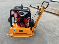 Compacteur à plaque vibrante robuste haute performance 160KG pour la vente de construction équipement de compactage de sol moteur de noyau