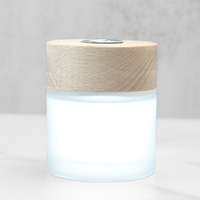 Bouteille diffuseur d'huiles essentielles en verre rond de 120 ml avec couvercle en bois, vide, sérigraphiée pour l'aromathérapie