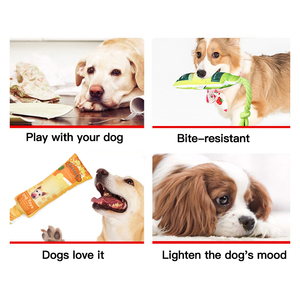 Produttore all'ingrosso di frutta resistente al morso fornitori di animali domestici corda cane giocattolo da masticare - Product Image 3