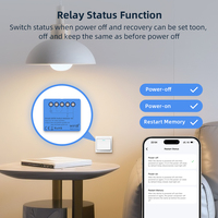 Módulo de Interruptor Inteligente WiFi 6 Tuya Smart Life OEM/ODM WSM20-DC, Control por Voz con Alexa y Google Home, 110-240V, Temporizador DIY
