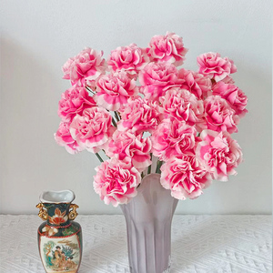 Girofle <span class=keywords><strong>Xiao</strong></span> <span class=keywords><strong>Yan</strong></span> de qualité supérieure - Rose et blanc pour bouquets - Product Image 2